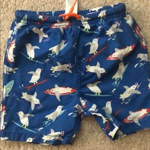 Baby Boden 2/3 yr swim trunks